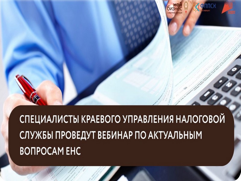 Специалисты краевого управления налоговой службы проведут вебинар по актуальным вопросам ЕНС.