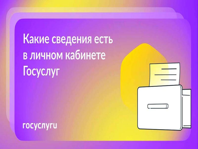 Что можно узнать из личного кабинета на Госуслугах.