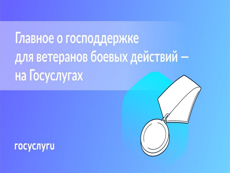 Все меры поддержки для ветеранов боевых действий и их семей — в новом разделе на Госуслугах.