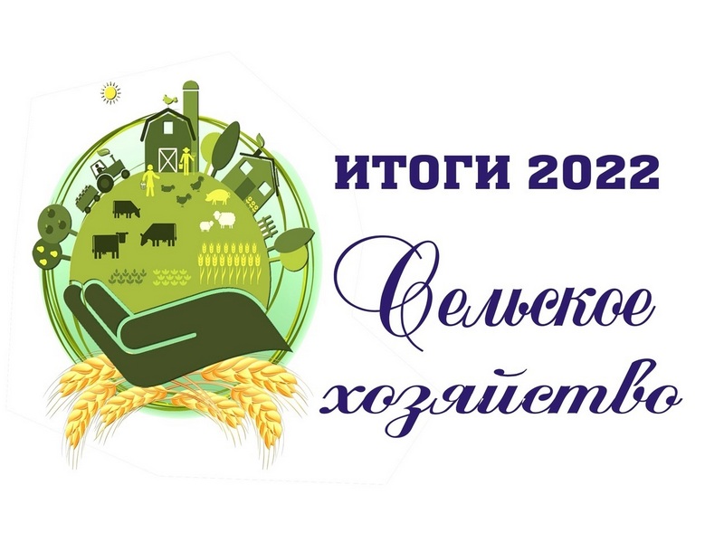 Итоги 2022 года. Сельское хозяйство.