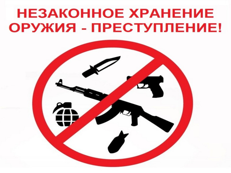 Незаконное хранение оружия – преступление!. Незаконное хранение оружия – преступление!.