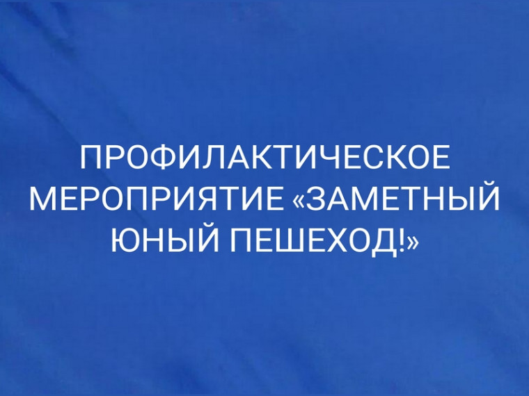 Профилактическое мероприятие «Заметный юный пешеход!». Профилактическое мероприятие «Заметный юный пешеход!».